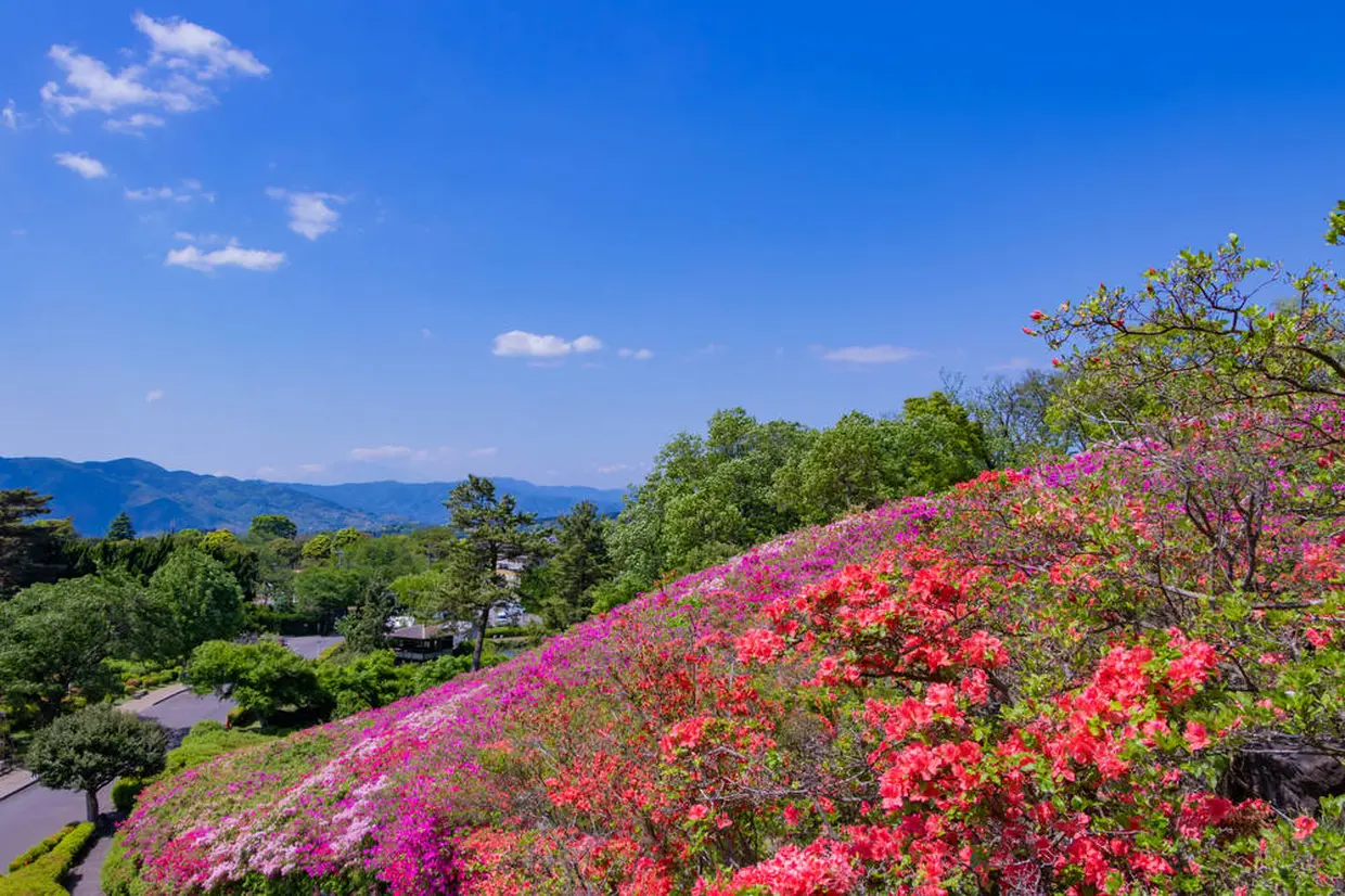 小室山公園