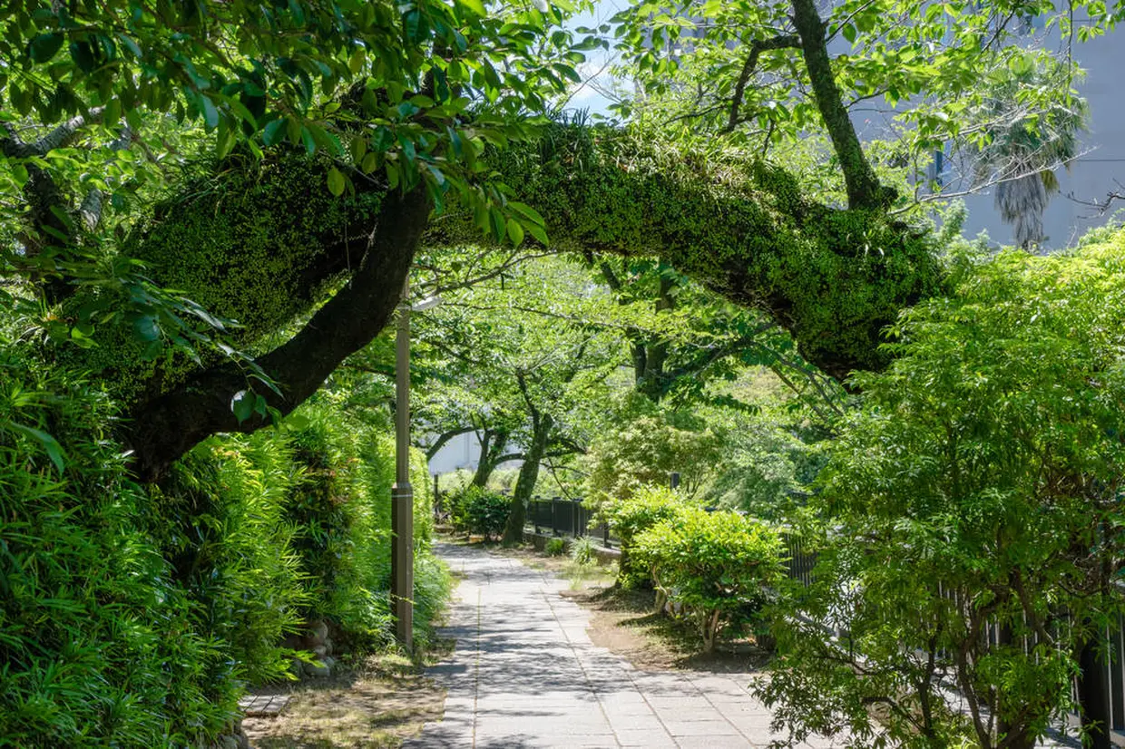 松川遊歩道