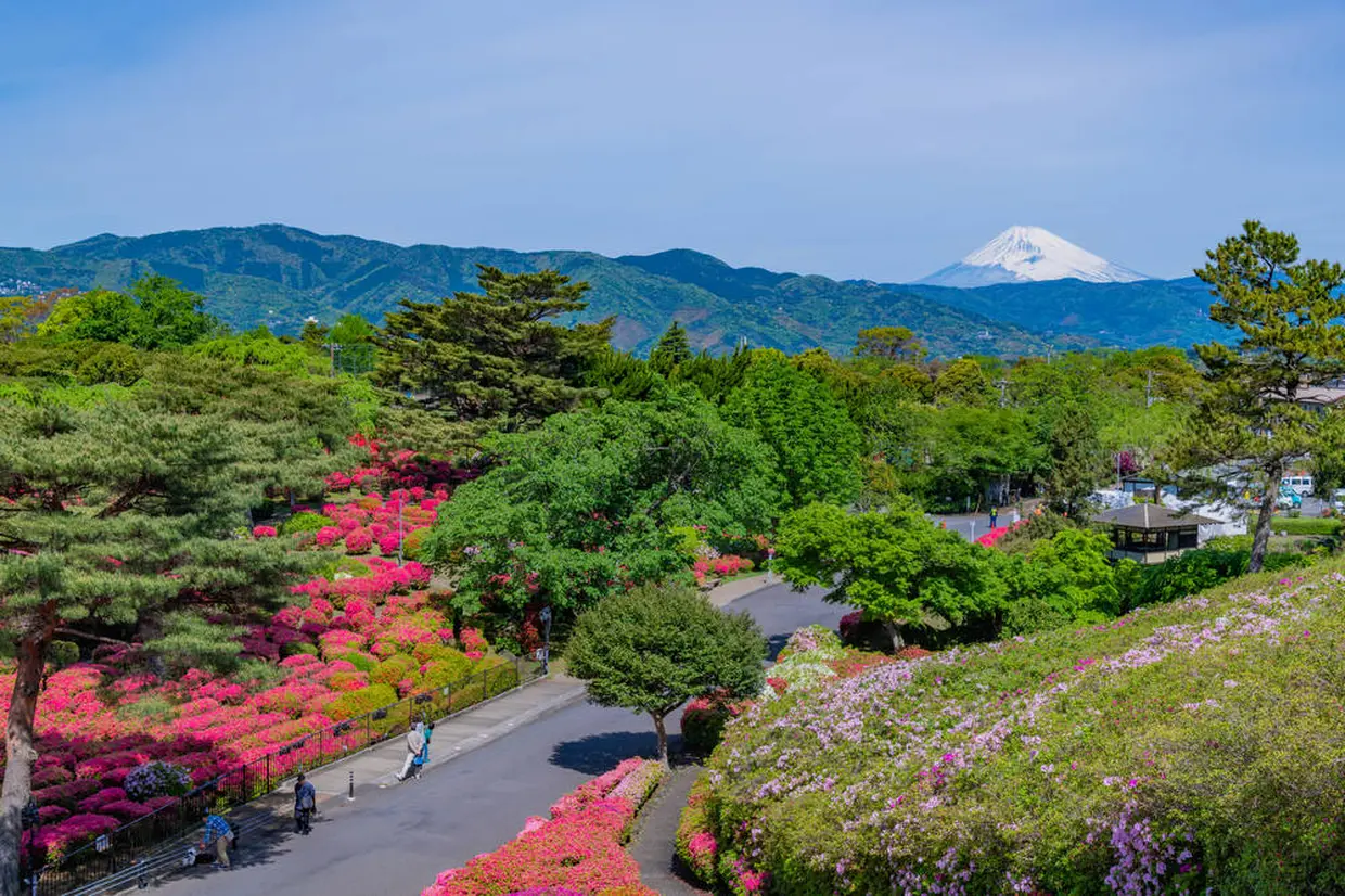 小室山公園