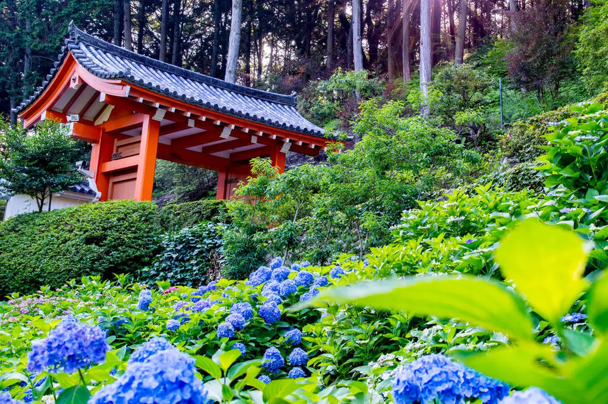 三室戸寺