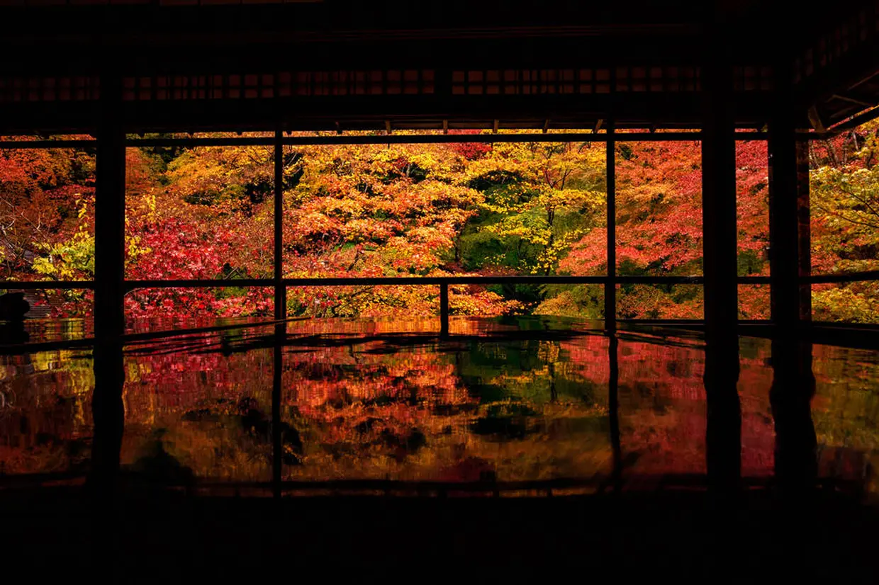 瑠璃光院