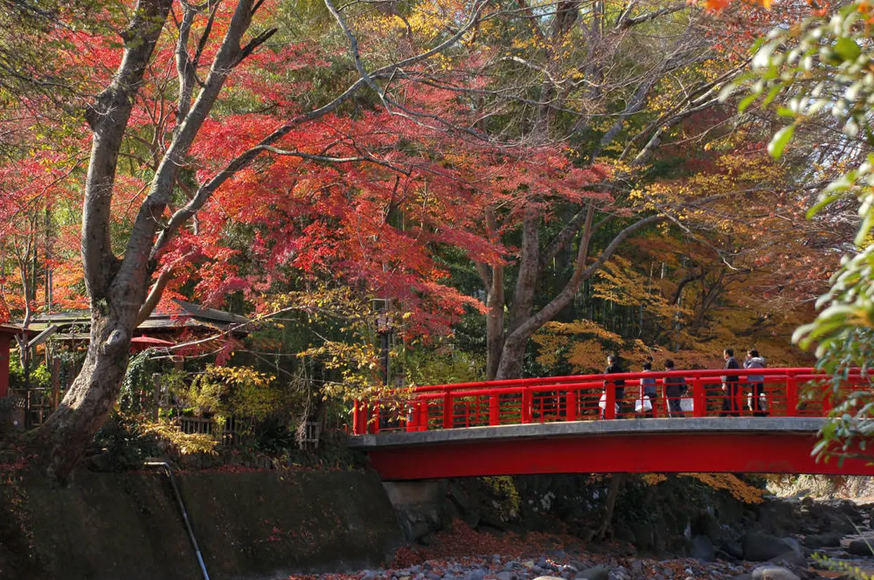 楓橋