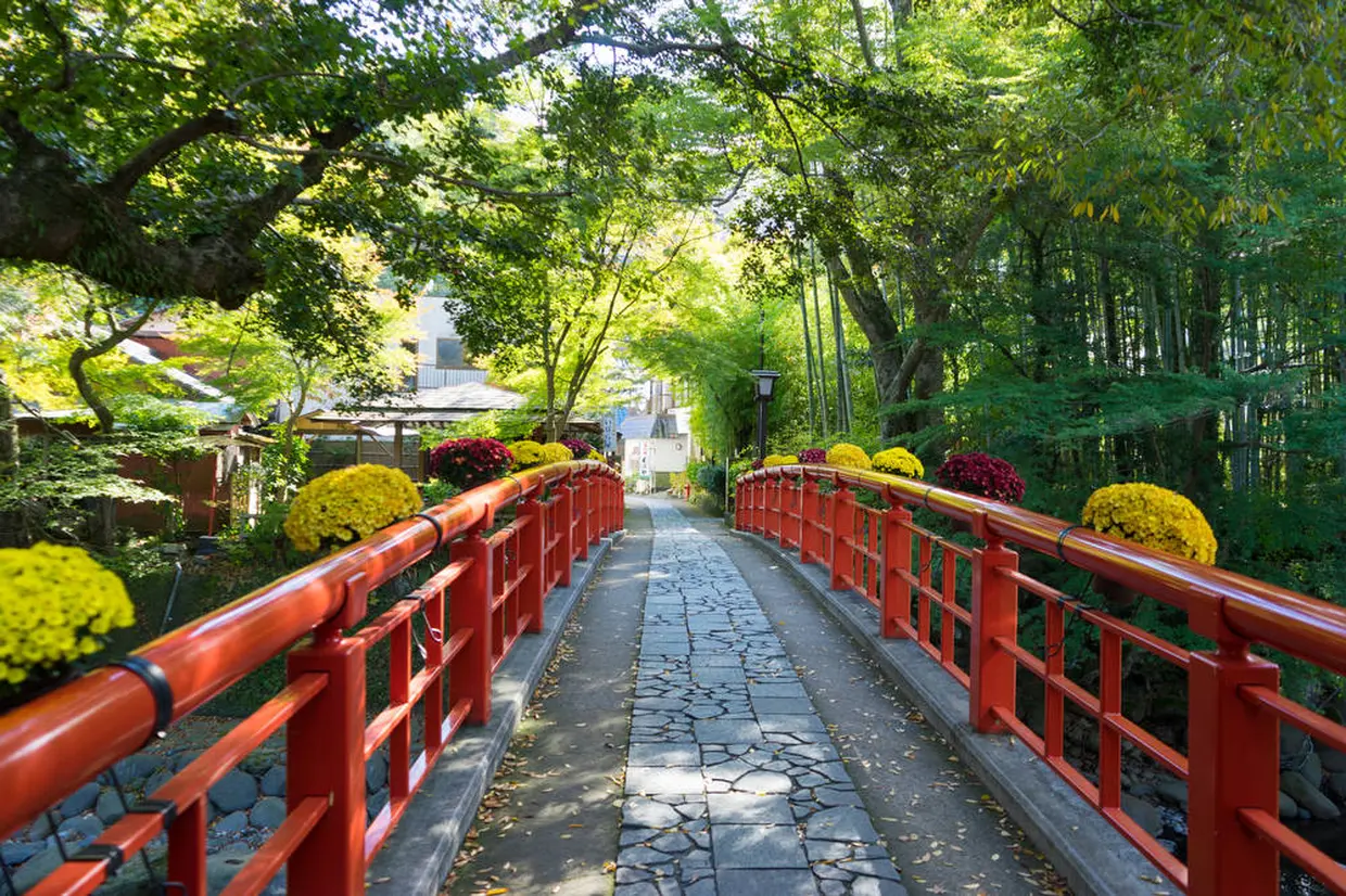 桂橋