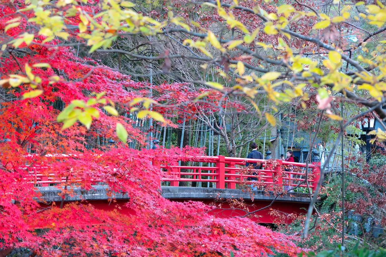 渡月橋