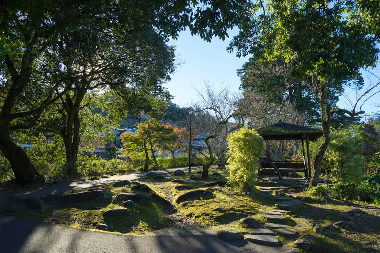 赤蛙公園