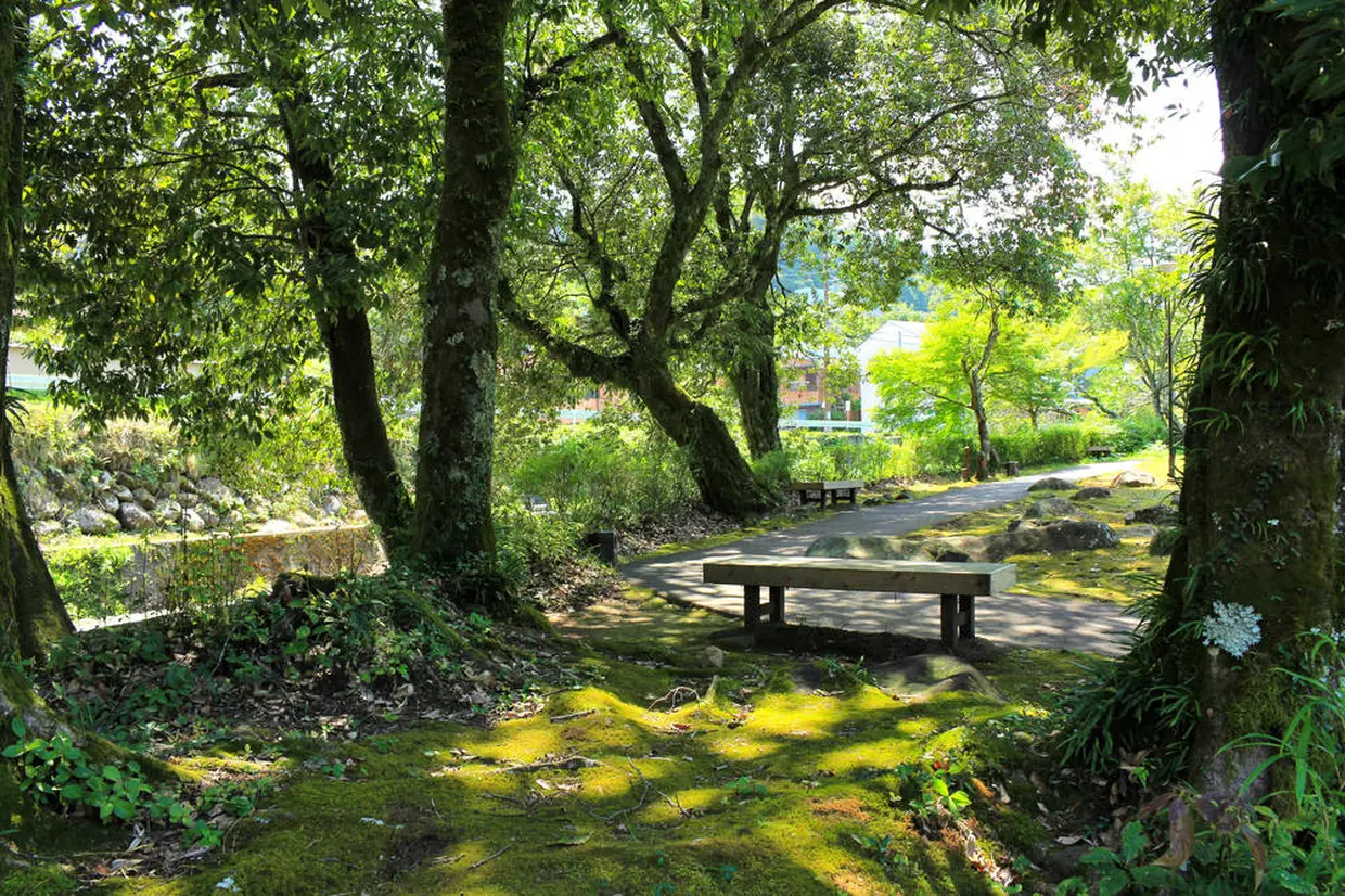 赤蛙公園