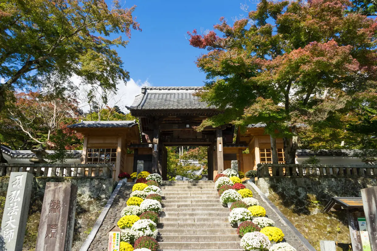 修禅寺 菊飾り