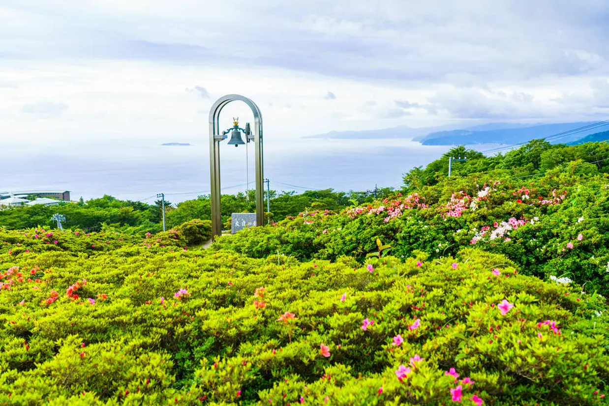 星ヶ山公園 さつきの郷
