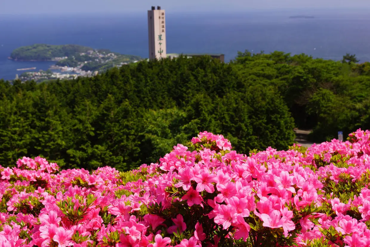 星ケ山公園さつきの郷
