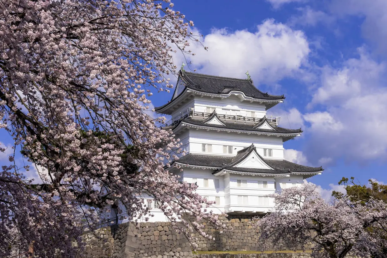小田原城