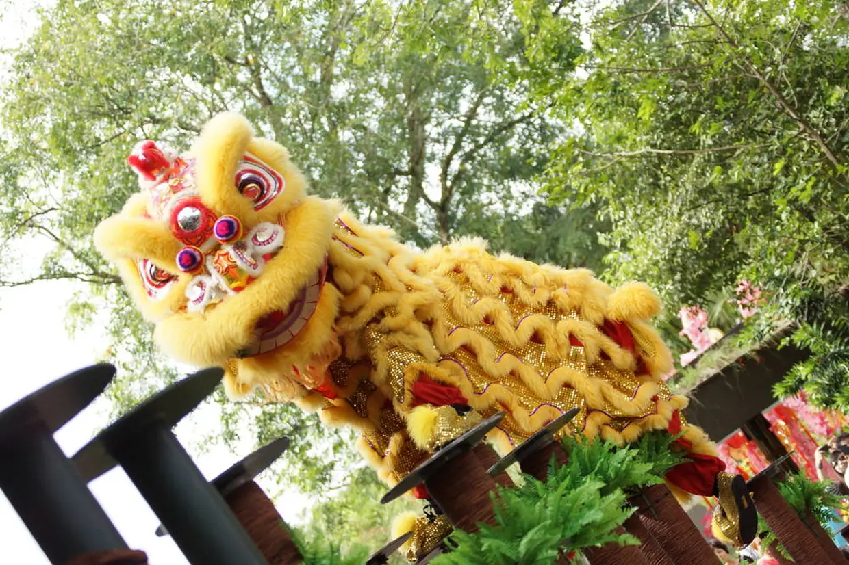 チャイニーズ・ニューイヤー（旧正月）の獅子舞