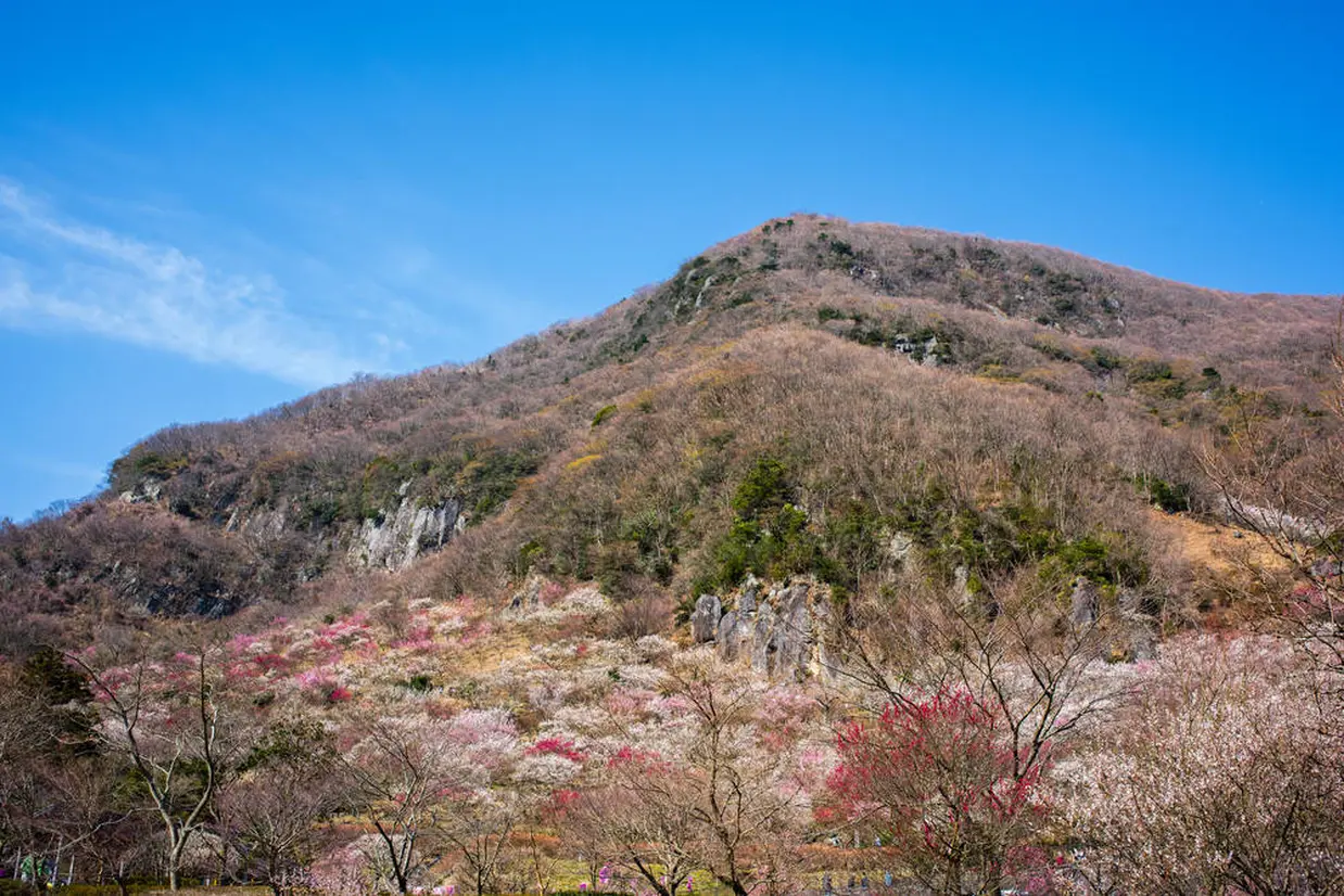 幕山