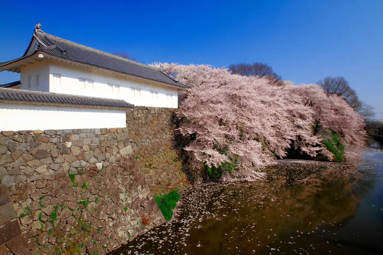 霞城公園