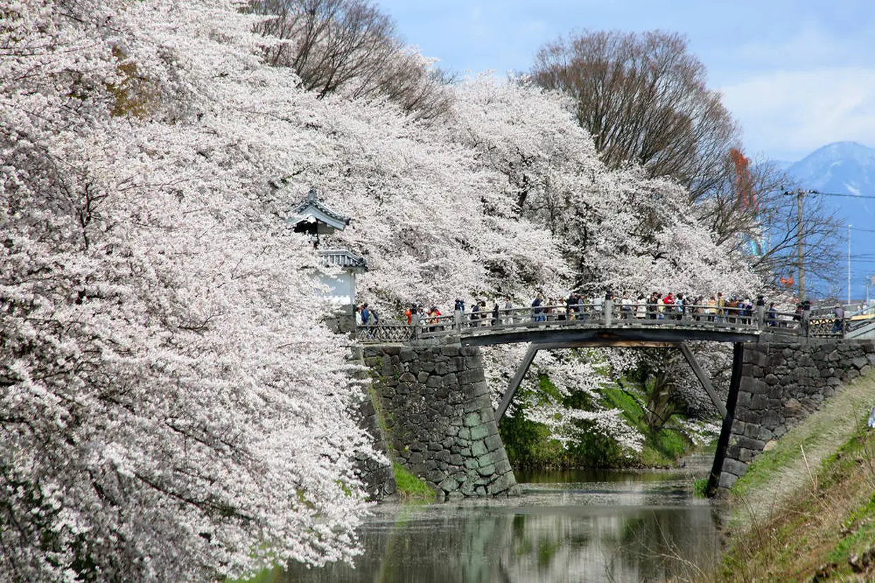 霞城公園