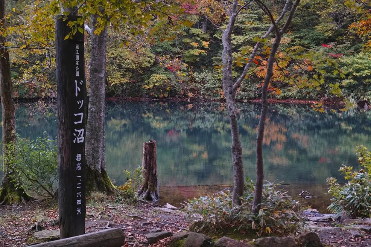 ドッコ沼