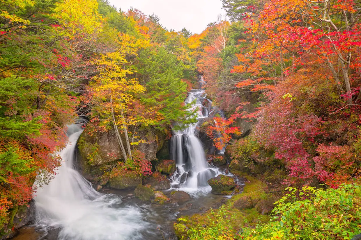 面白山紅葉川渓谷