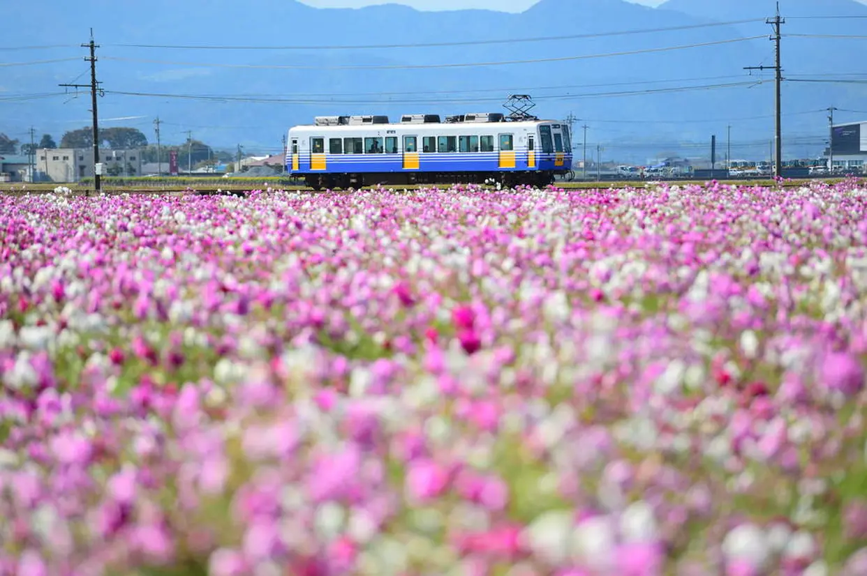 えちぜん鉄道