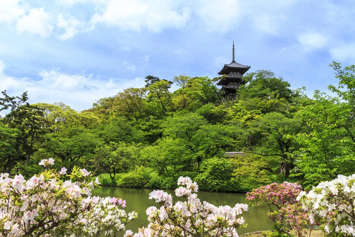 横浜 三溪園