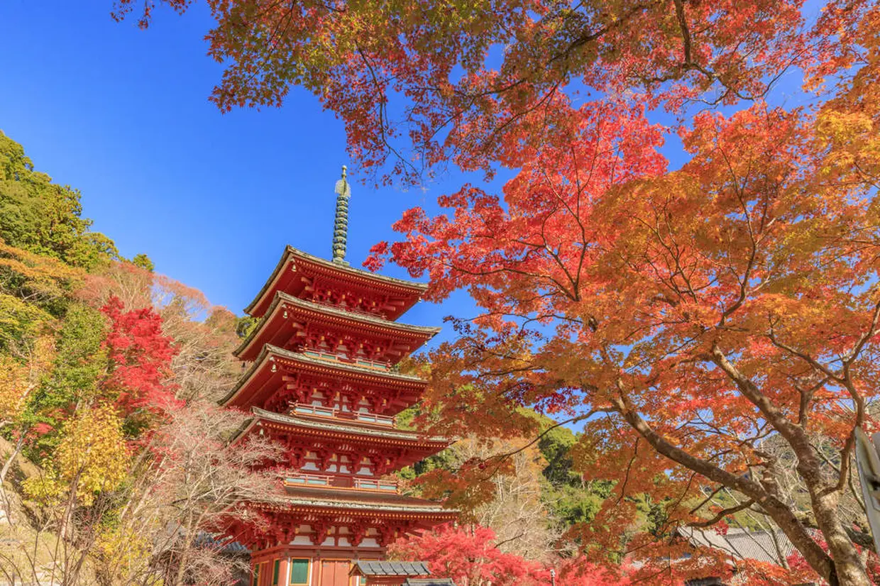 長谷寺