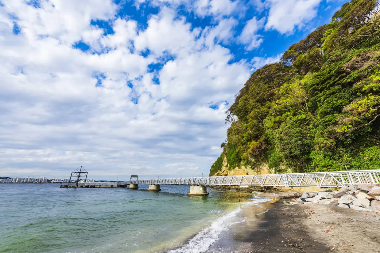 猿島