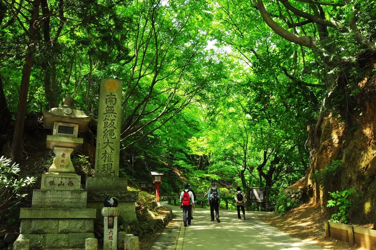 自然研究路1号路