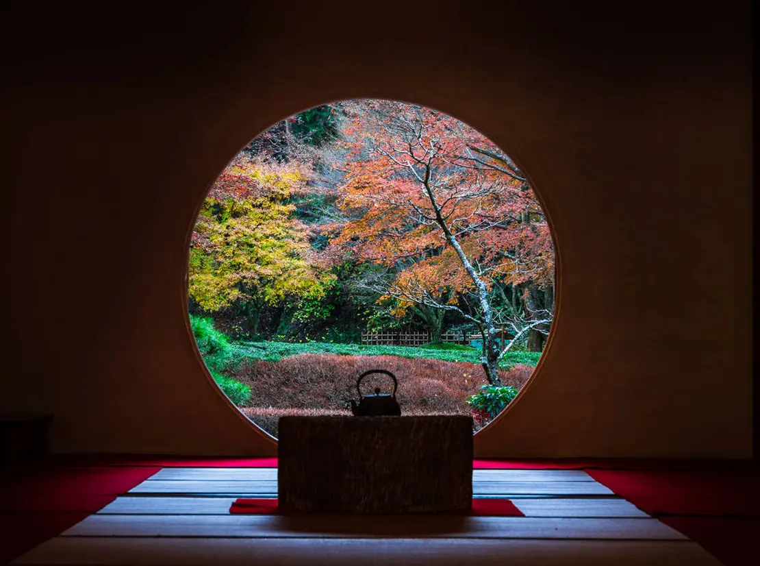 悟りの窓