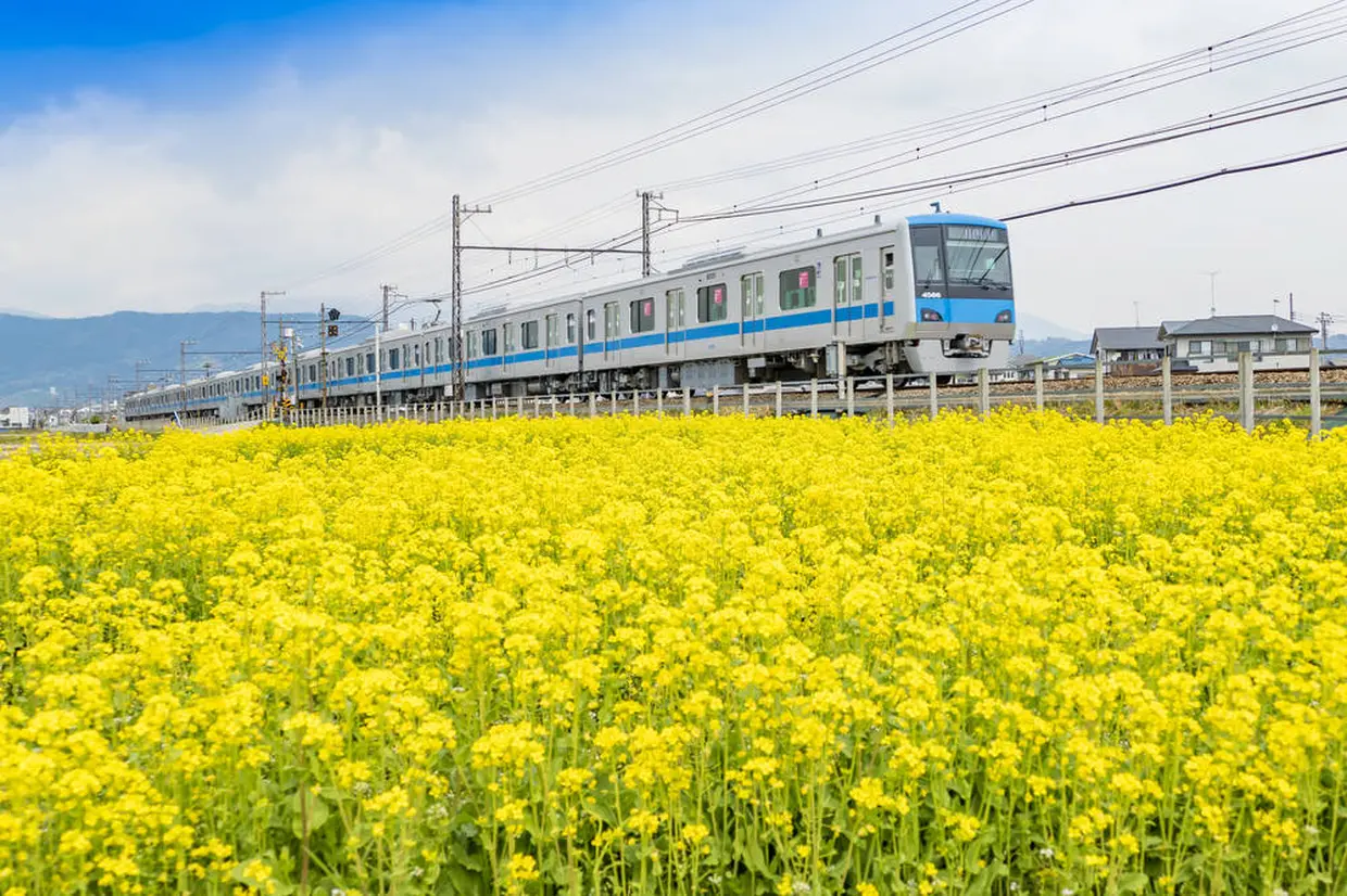 電車