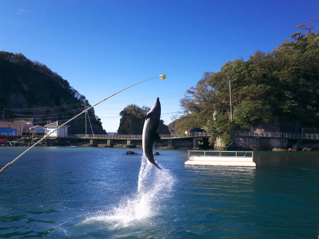 下田海中水族館