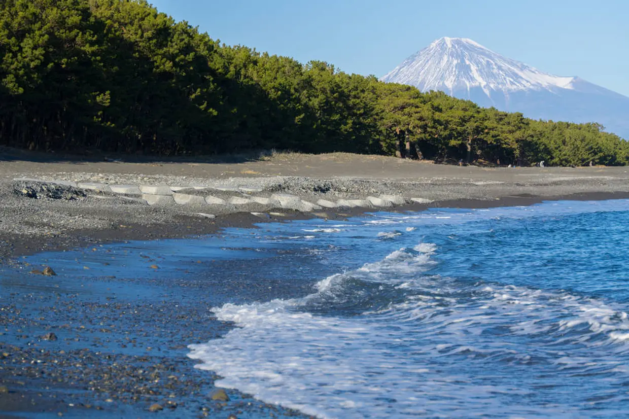 三保海岸 （三保の松原）