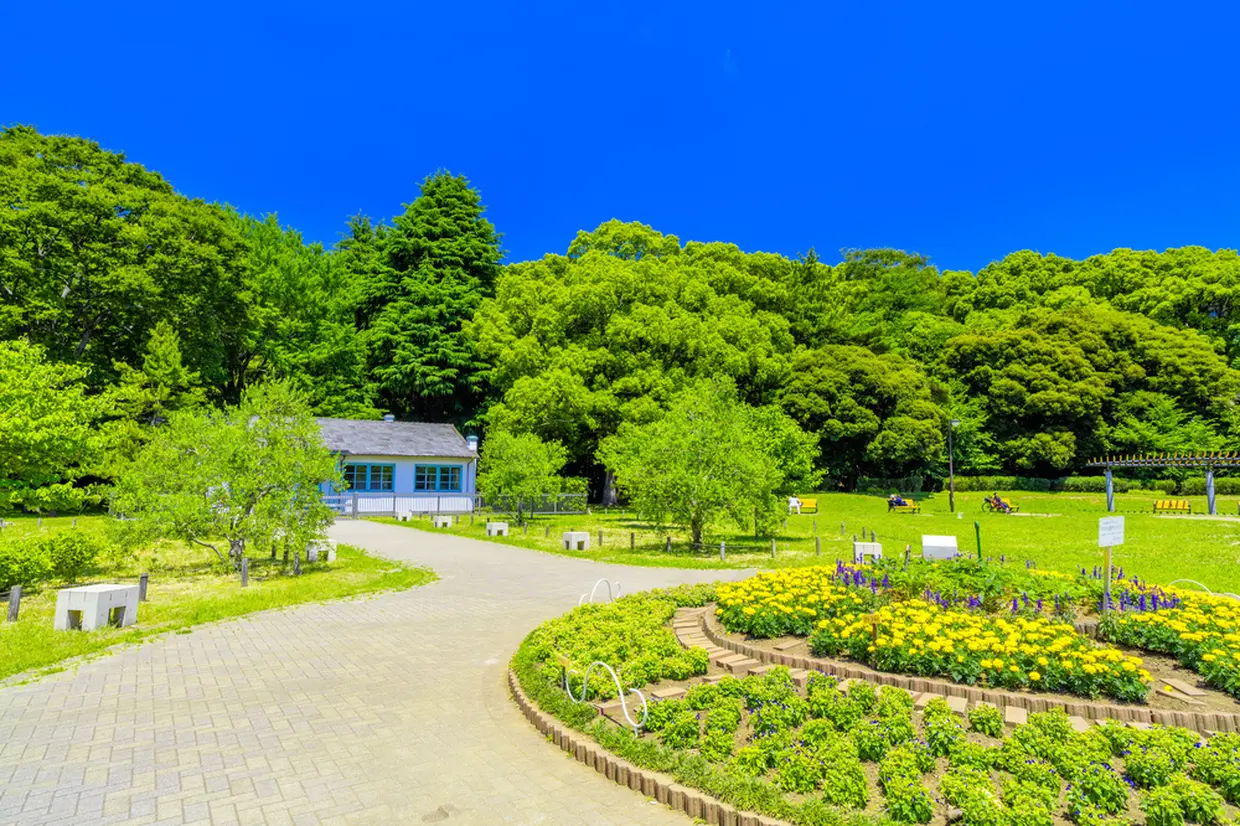 代々木公園