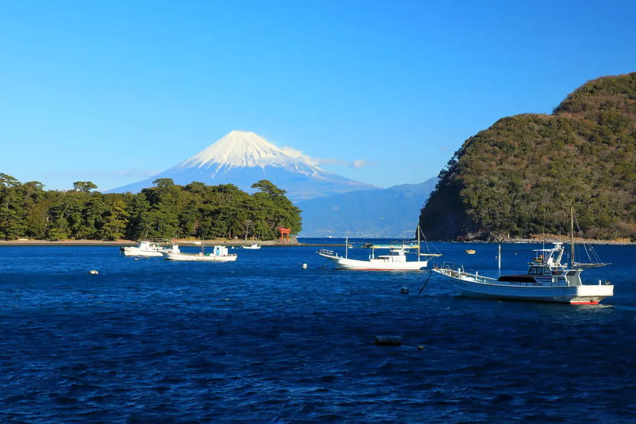 戸田港