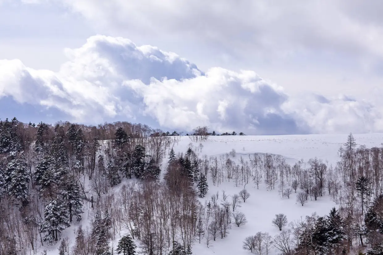 信州の雄大な山々