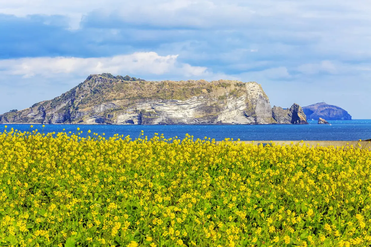 済州島(チェジュド)