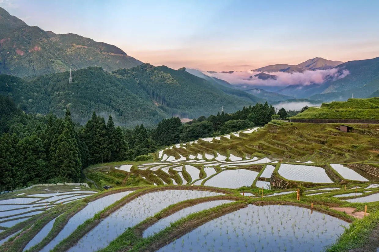 丸山千枚田