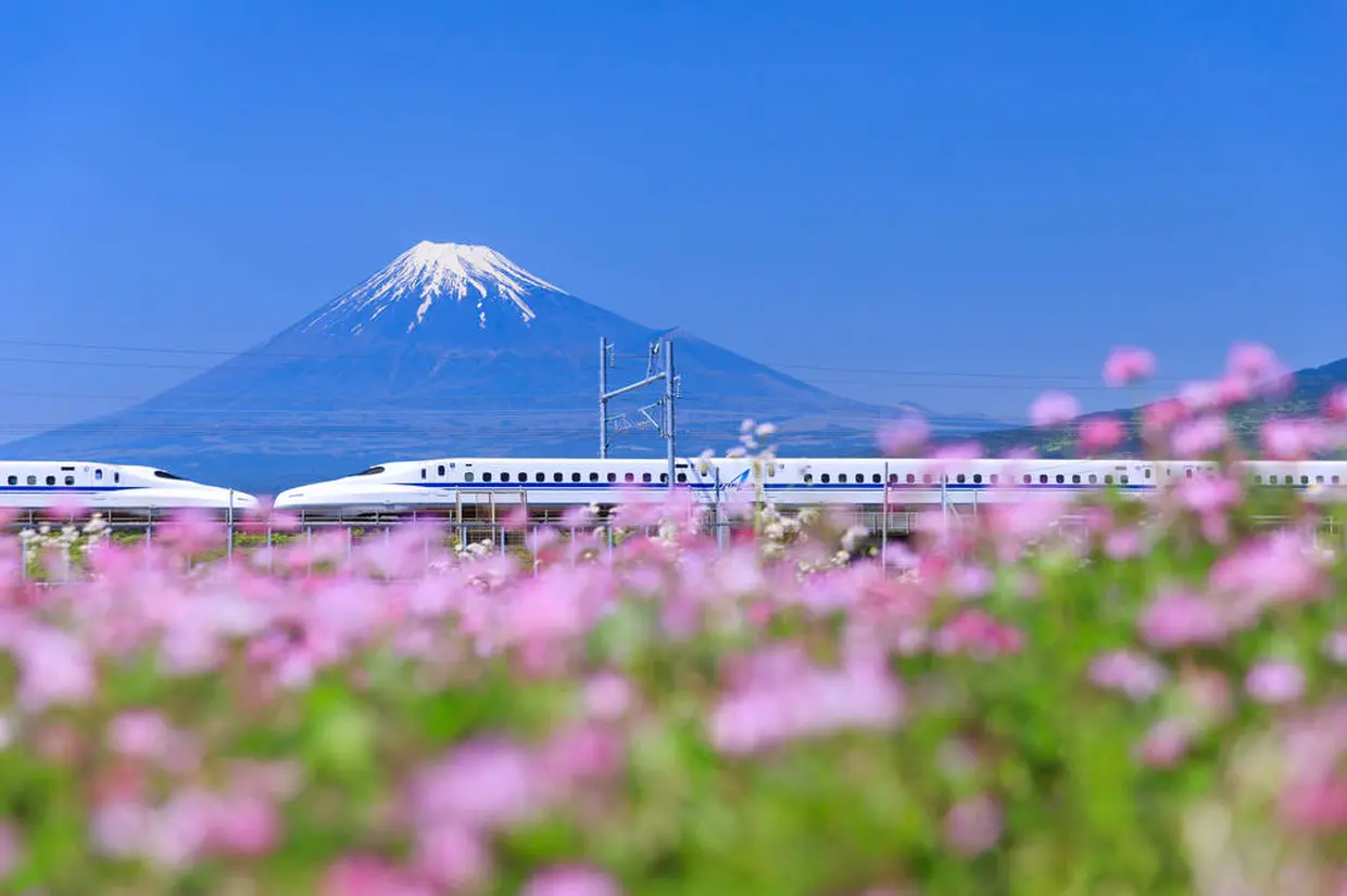 静岡　イメージ