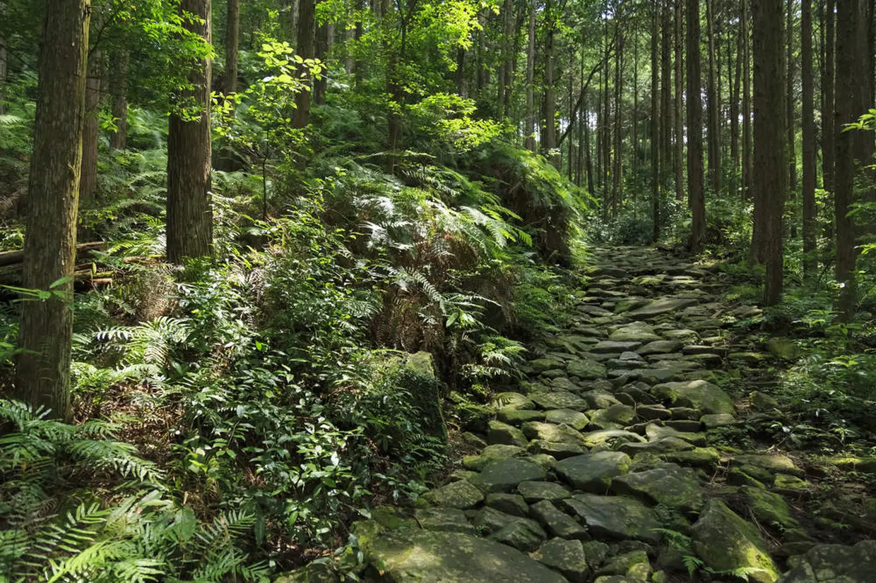熊野古道馬越峠
