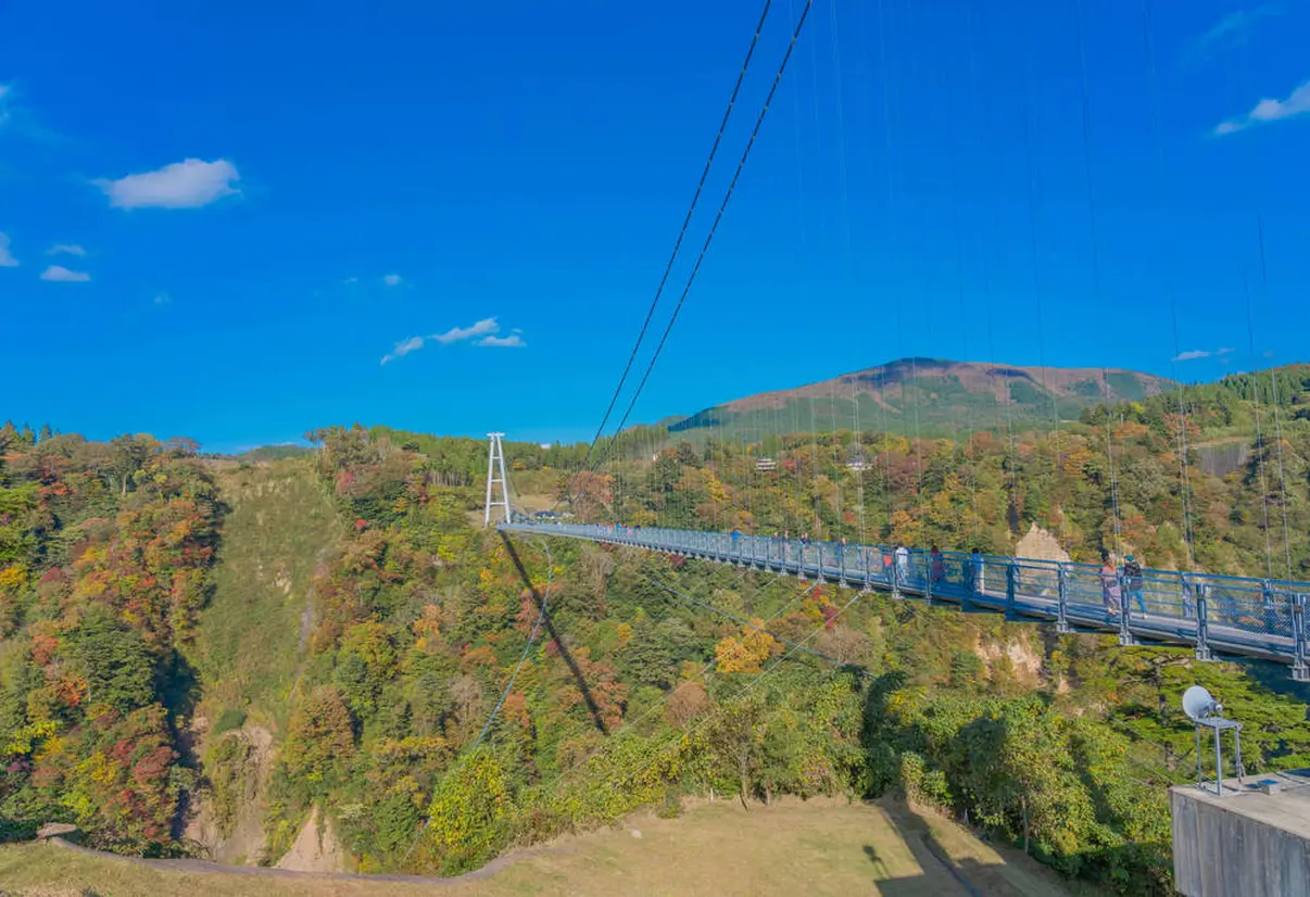九重“夢”吊大橋