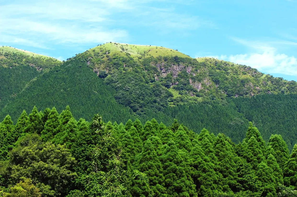 俵山