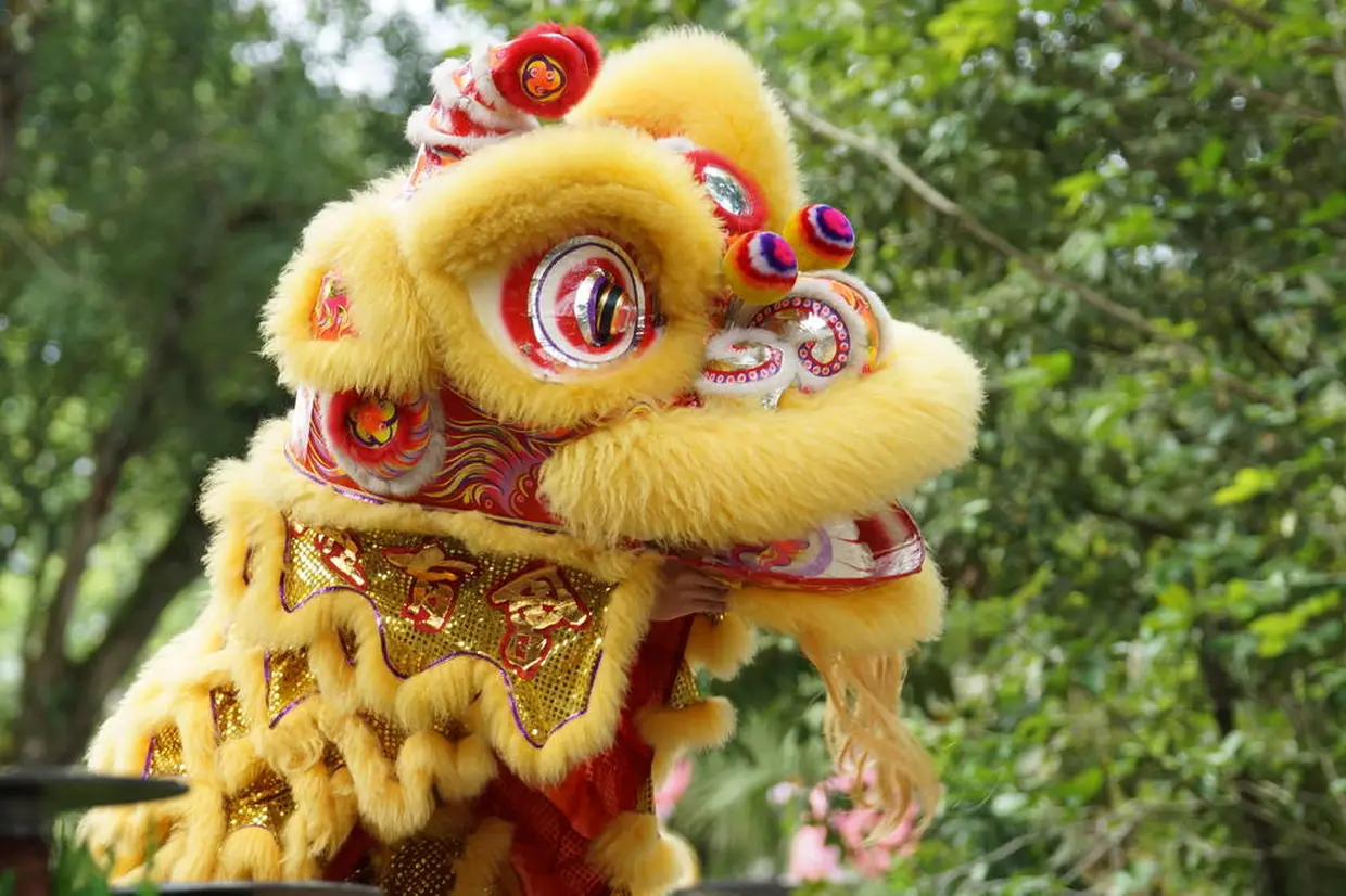 中国獅子舞 イメージ