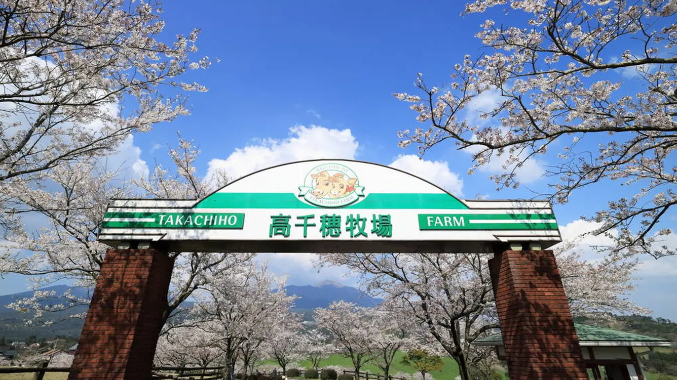 高千穂牧場