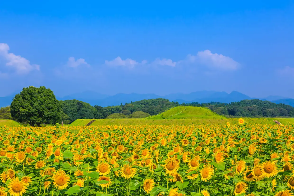 西都原古墳