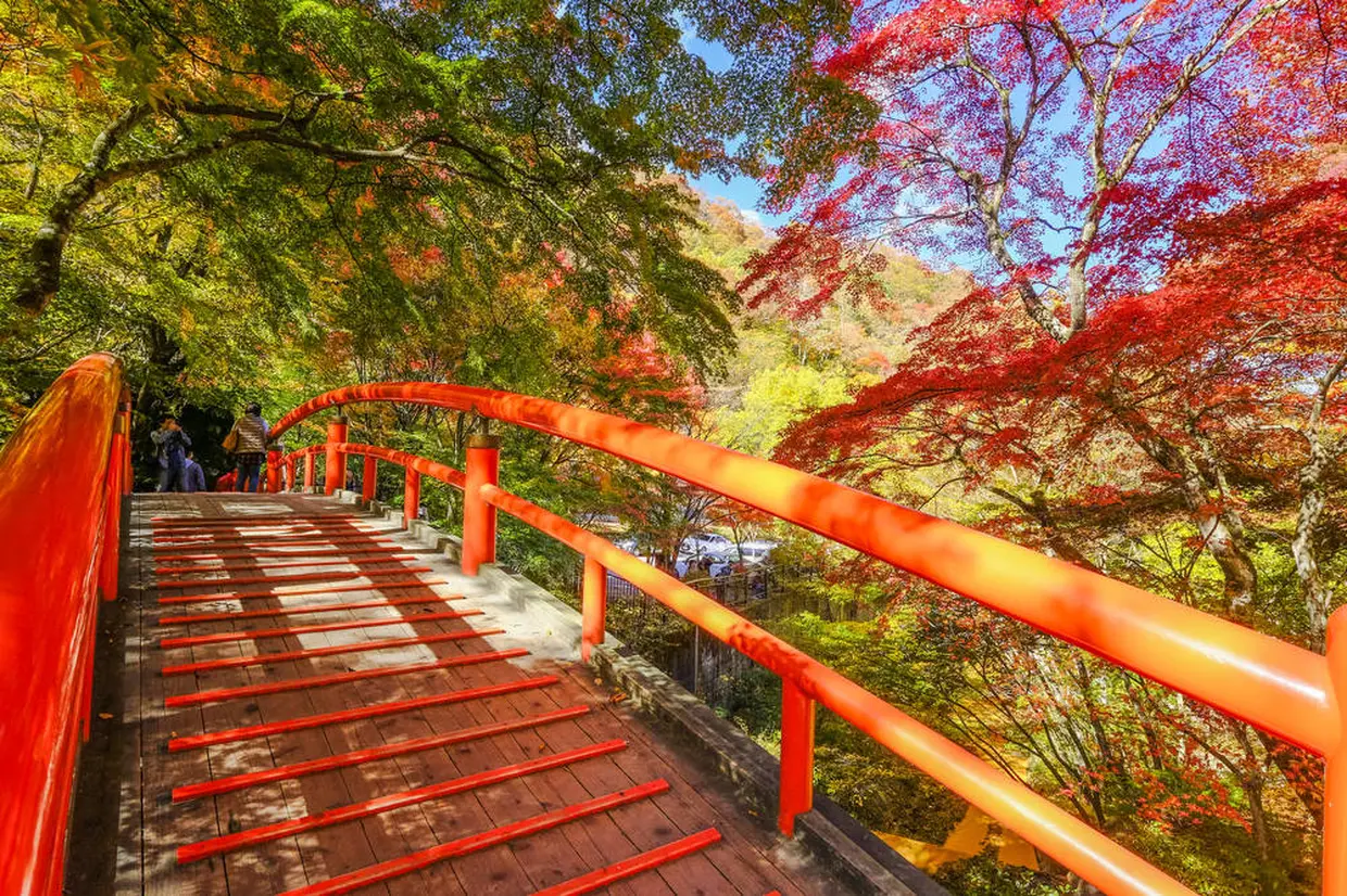 河鹿橋