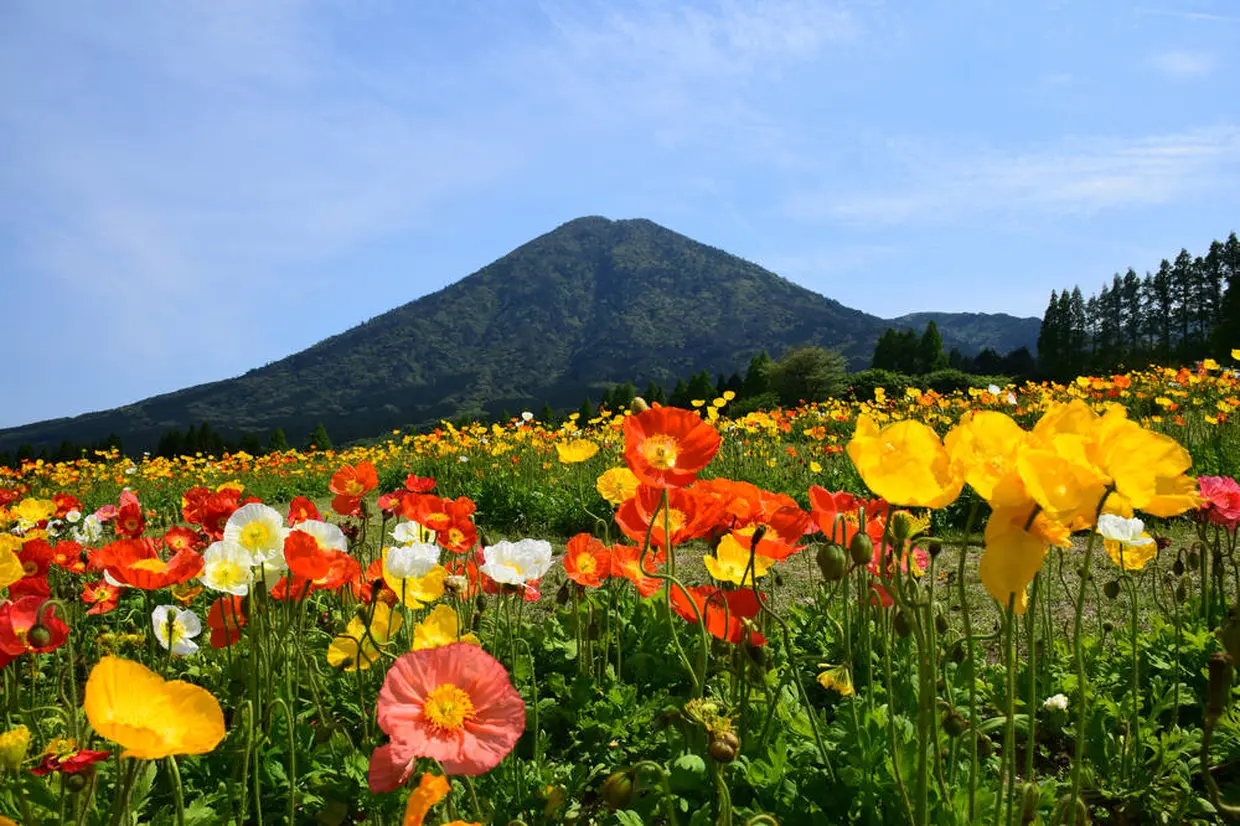 生駒高原