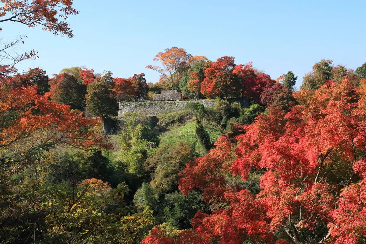 岡城址