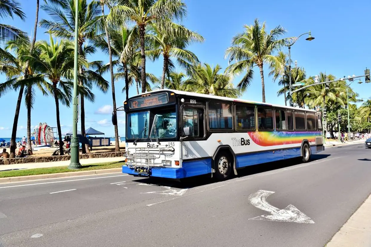 The Bus
