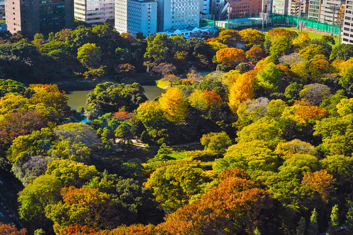 小石川後楽園