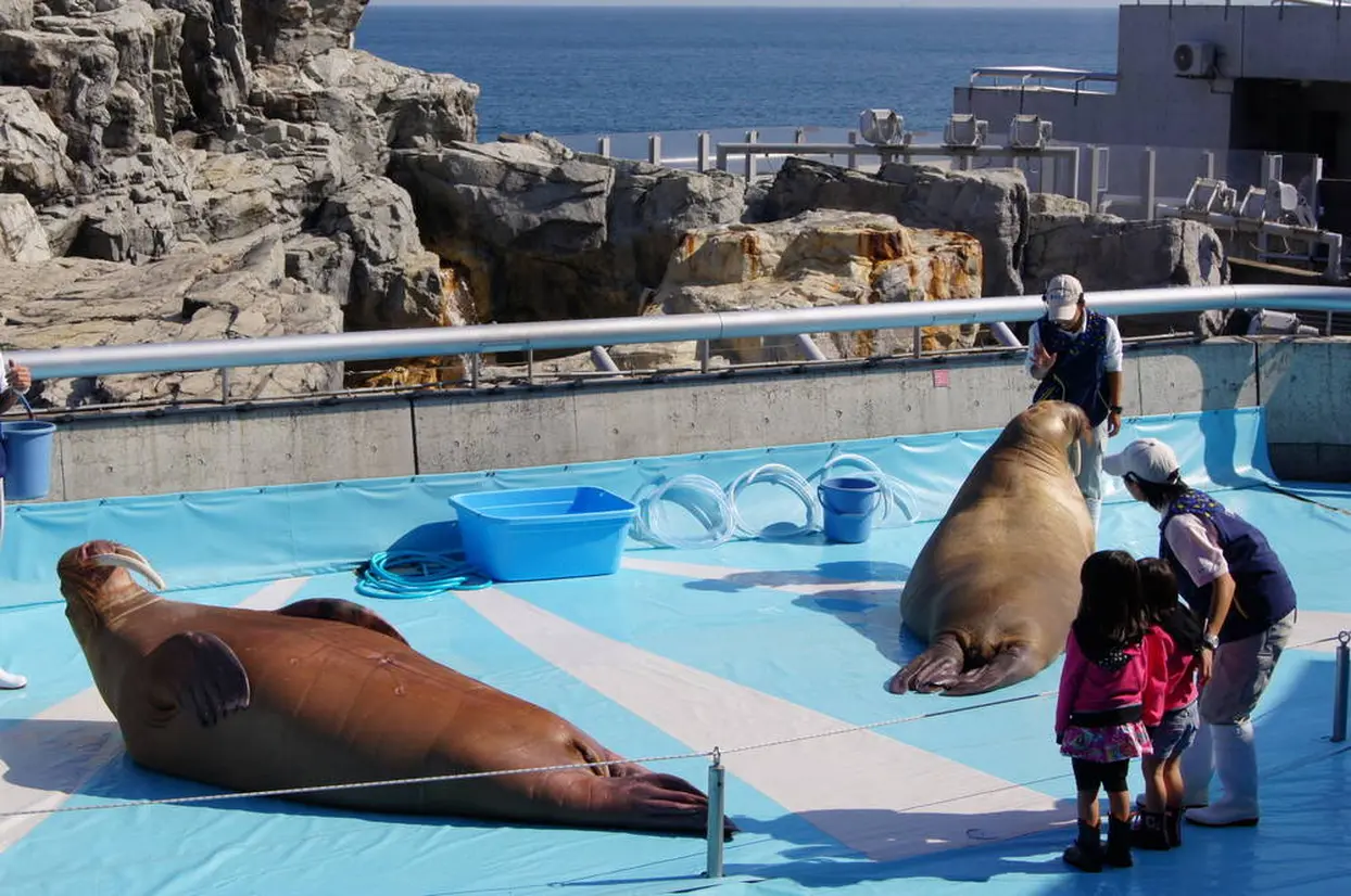 大分マリーンパレス水族館　うみたまご