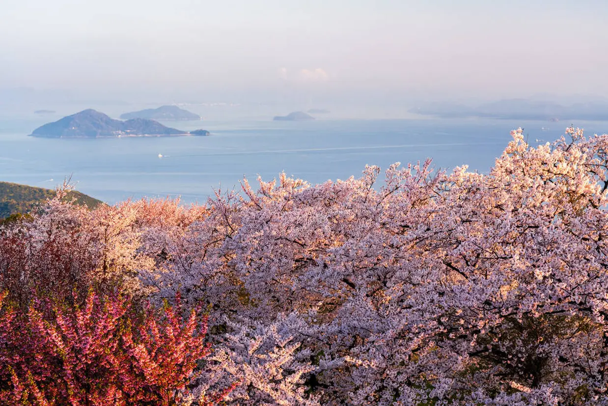 紫雲出山
