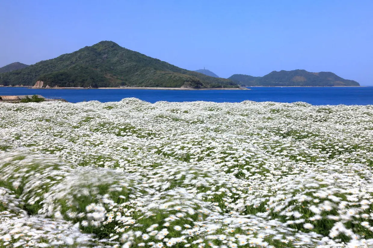 フラワーパーク浦島