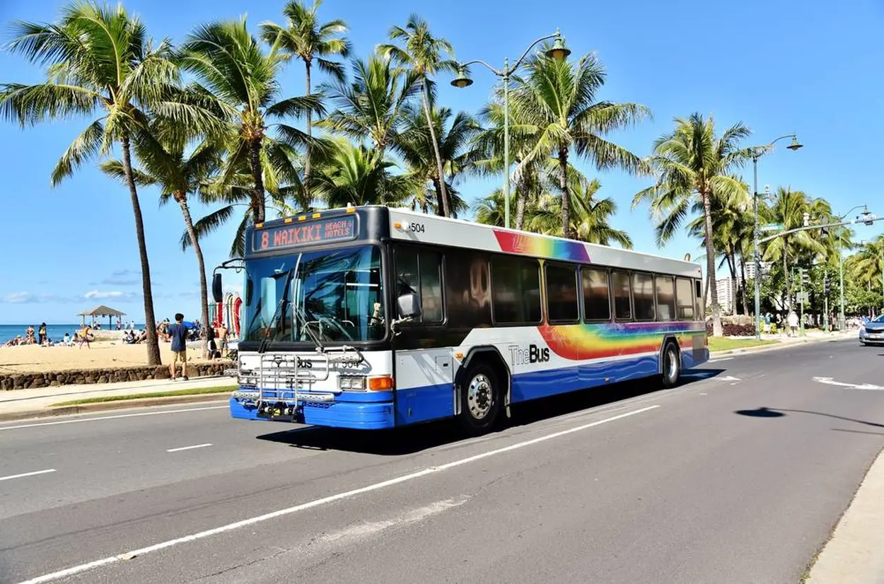 TheBus